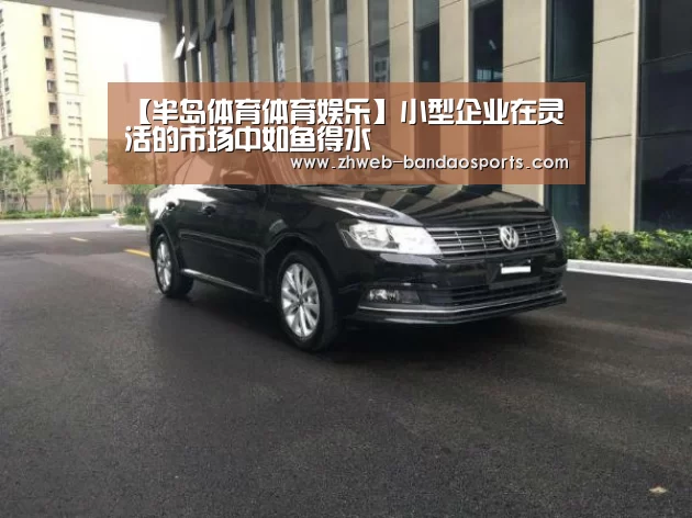【半岛体育体育娱乐】小型企业在灵活的市场中如鱼得水(图1) 半岛体育体育娱乐
