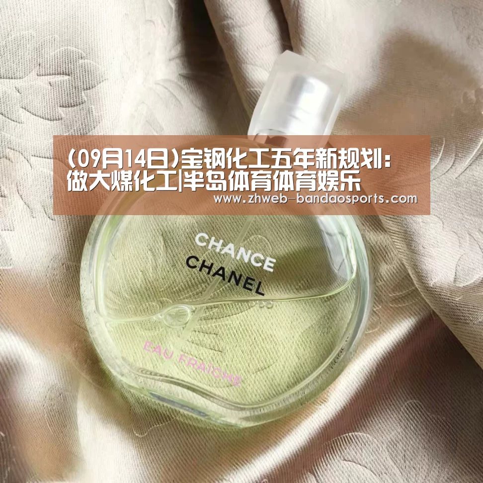 (09月14日)宝钢化工五年新规划:做大煤化工|半岛体育体育娱乐(图2) 半岛体育体育网