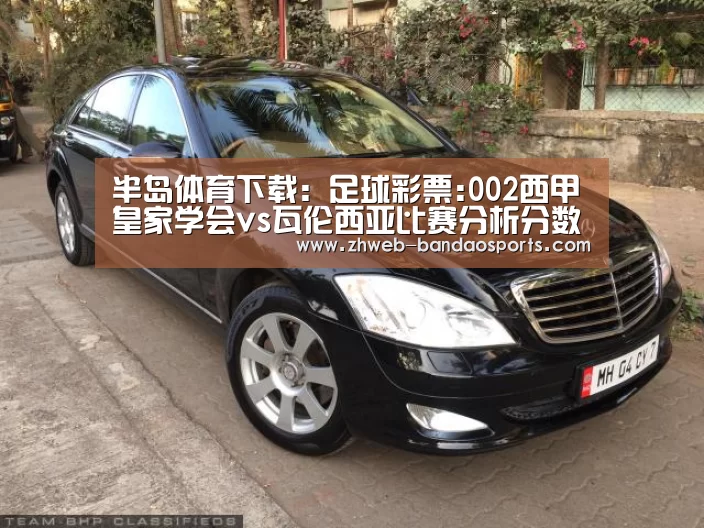 半岛体育体育网