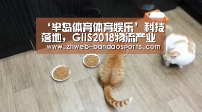 ‘半岛体育体育娱乐’科技落地,GIIS2018物流产业创新峰会展望无人时代(图1) 半岛体育体育网