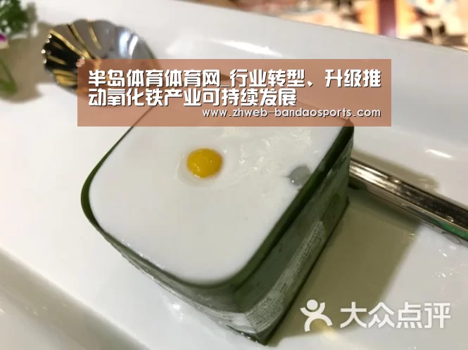 半岛体育体育网_行业转型、升级推动氧化铁产业可持续发展(图2) 半岛体育体育娱乐