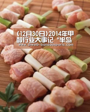 (12月30日)2014年甲醇行业大事记‘半岛体育体育网’(图1) 半岛体育体育娱乐